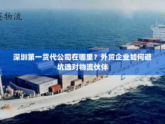 深圳第一货代公司在哪里?外贸企业如何避坑选对物流伙伴 深圳第一货代公司在哪里?外贸企业如何避坑选对物流伙伴