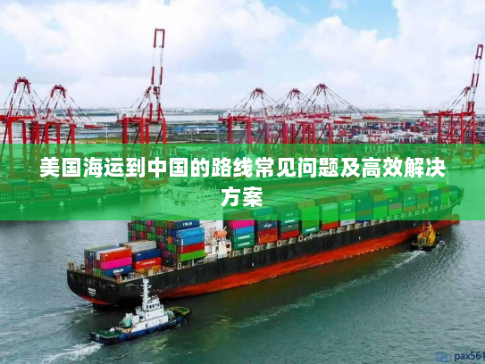 美国海运到中国的路线常见问题及高效解决方案