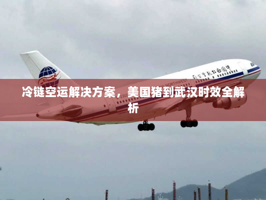 冷链空运解决方案，美国猪到武汉时效全解析