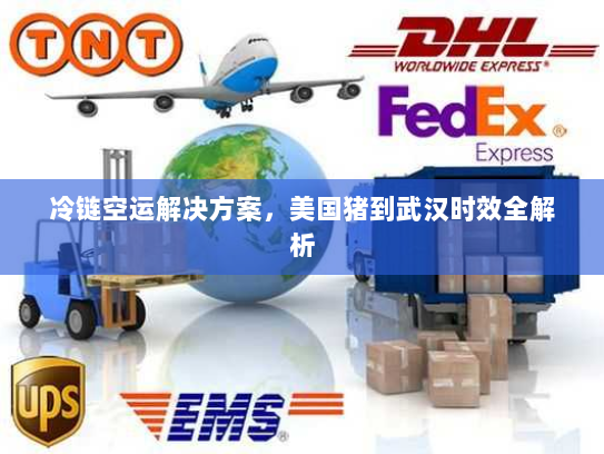 冷链空运解决方案，美国猪到武汉时效全解析