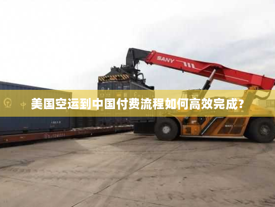 美国空运到中国付费流程如何高效完成？