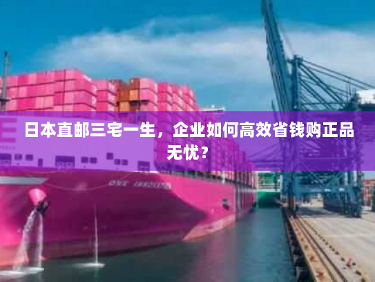 日本直邮三宅一生,企业如何高效省钱购正品无忧? 日本直邮三宅一生,企业如何高效省钱购正品无忧?