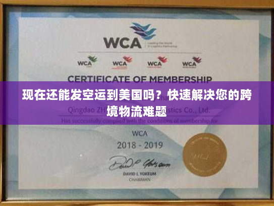 现在还能发空运到美国吗？快速解决您的跨境物流难题