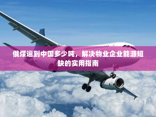 俄煤运到中国多少吨,解决物业企业能源短缺的实用指南 俄煤运到中国多少吨,解决物业企业能源短缺的实用指南