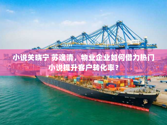 小说关晓宁 苏逸清，物业企业如何借力热门小说提升客户转化率？