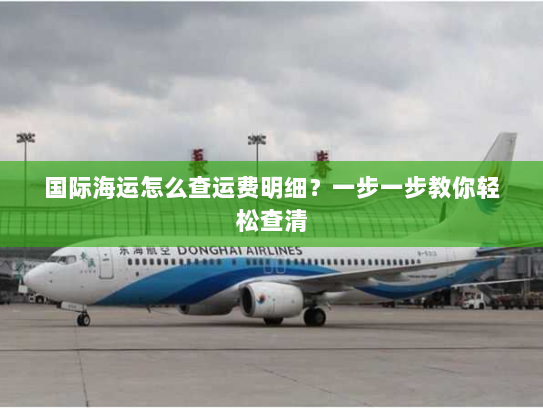 国际海运怎么查运费明细?一步一步教你轻松查清 国际海运怎么查运费明细?一步一步教你轻松查清