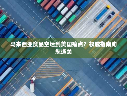 马来西亚食品空运到美国痛点？权威指南助您通关