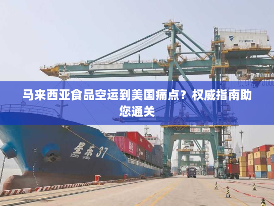 马来西亚食品空运到美国痛点？权威指南助您通关