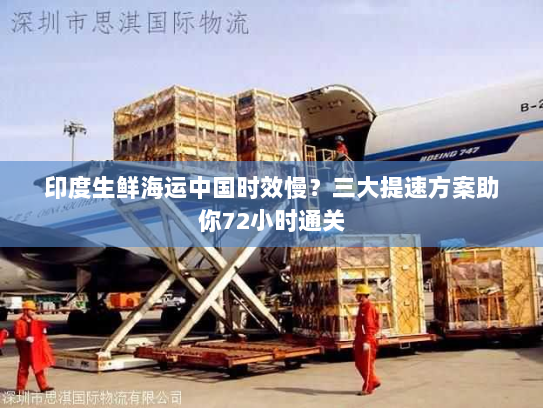 印度生鲜海运中国时效慢？三大提速方案助你72小时通关