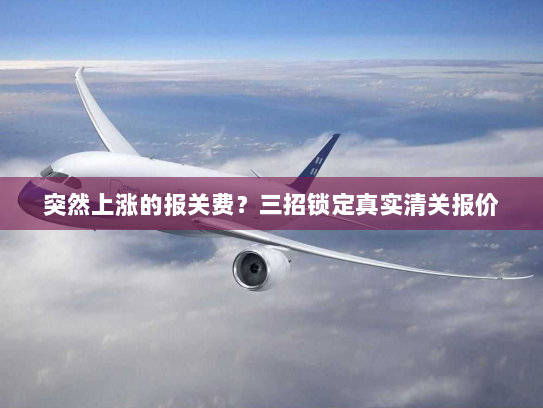 突然上涨的报关费?三招锁定真实清关报价 突然上涨的报关费?三招锁定真实清关报价
