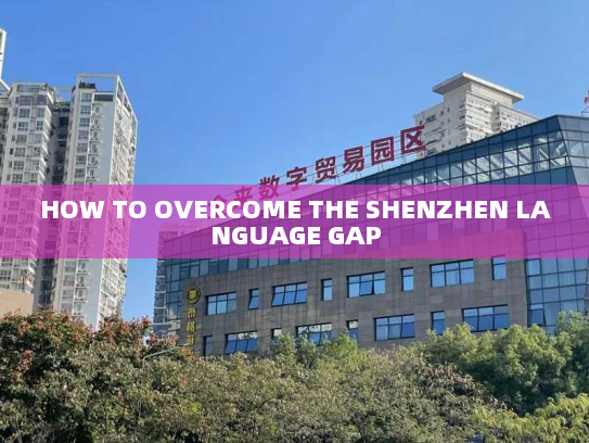 HOW TO OVERCOME THE SHENZHEN LANGUAGE GAP HOW TO OVERCOME THE SHENZHEN LANGUAGE GAP