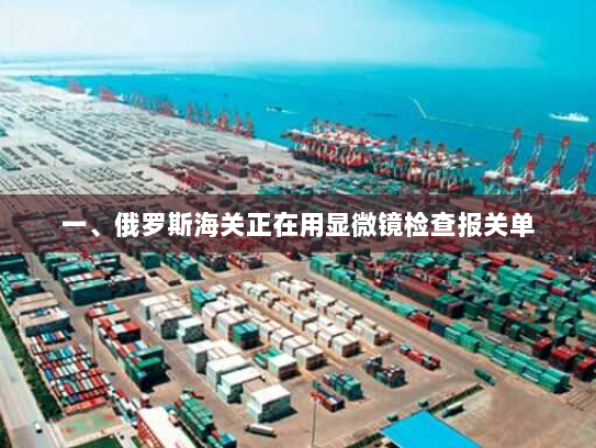 一、俄罗斯海关正在用显微镜检查报关单 一、俄罗斯海关正在用显微镜检查报关单