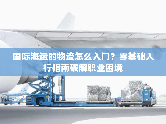 国际海运的物流怎么入门?零基础入行指南破解职业困境 国际海运的物流怎么入门?零基础入行指南破解职业困境