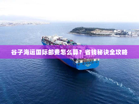 谷子海运国际邮费怎么算?省钱秘诀全攻略 谷子海运国际邮费怎么算?省钱秘诀全攻略