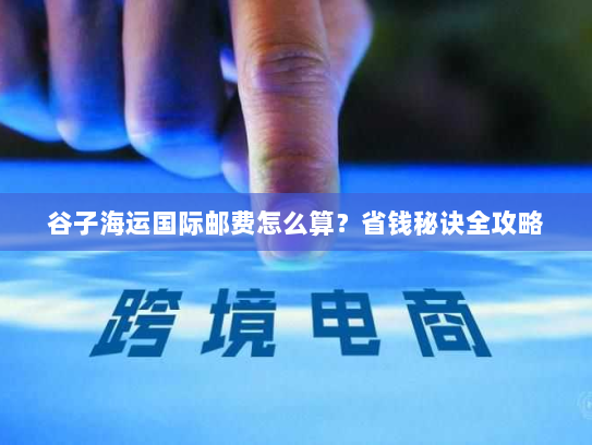 谷子海运国际邮费怎么算?省钱秘诀全攻略 谷子海运国际邮费怎么算?省钱秘诀全攻略
