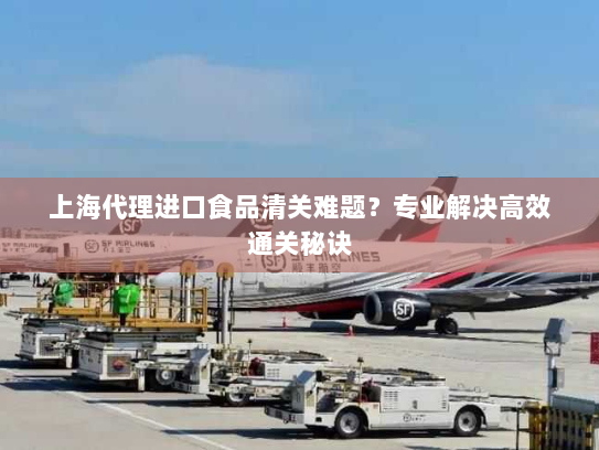 上海代理进口食品清关难题?专业解决高效通关秘诀 上海代理进口食品清关难题?专业解决高效通关秘诀
