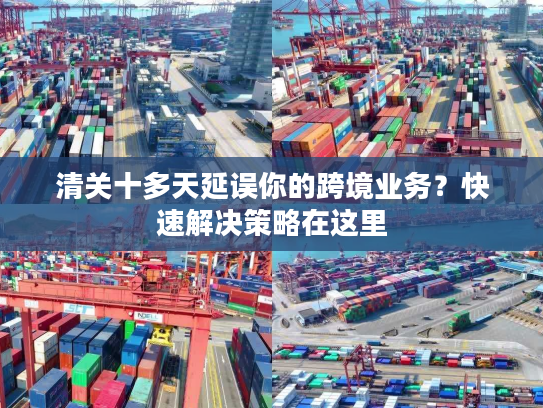 清关十多天延误你的跨境业务?快速解决策略在这里 清关十多天延误你的跨境业务?快速解决策略在这里