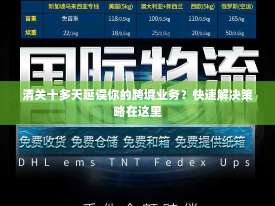 清关十多天延误你的跨境业务?快速解决策略在这里 清关十多天延误你的跨境业务?快速解决策略在这里