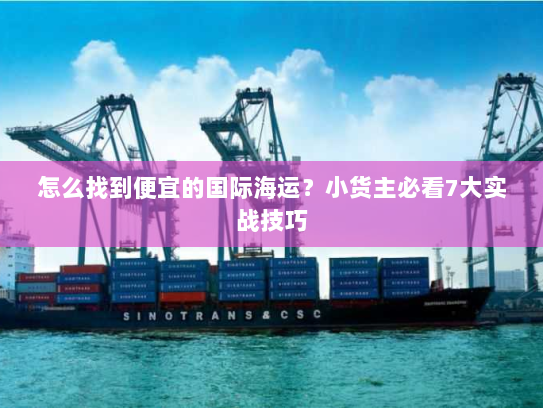 怎么找到便宜的国际海运？小货主必看7大实战技巧