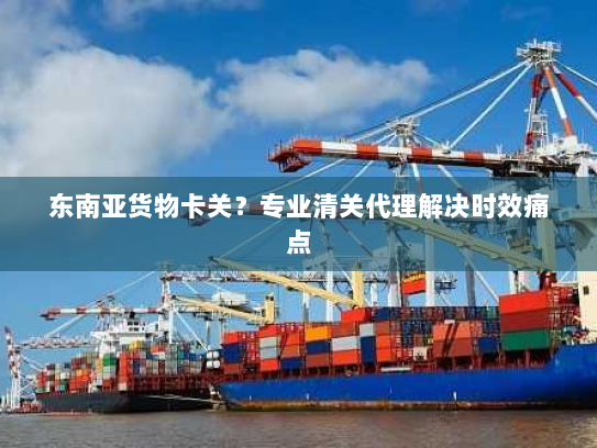 东南亚货物卡关？专业清关代理解决时效痛点