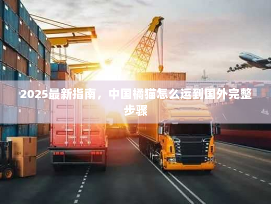 2025最新指南,中国橘猫怎么运到国外完整步骤 2025最新指南,中国橘猫怎么运到国外完整步骤