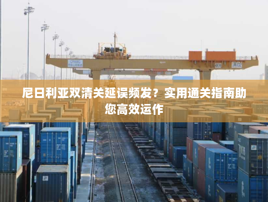 尼日利亚双清关延误频发？实用通关指南助您高效运作