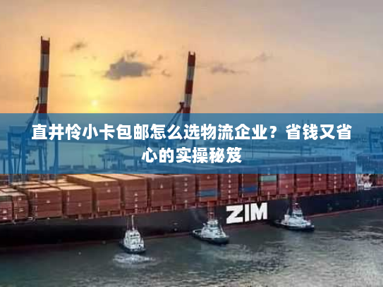 直井怜小卡包邮怎么选物流企业？省钱又省心的实操秘笈