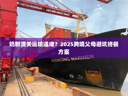奶粉清关运输遇堵?2025跨境父母避坑终极方案 奶粉清关运输遇堵?2025跨境父母避坑终极方案