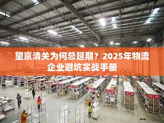 望京清关为何总延期？2025年物流企业避坑实战手册