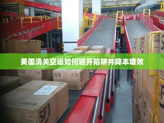 美国清关空运如何避开陷阱并降本增效
