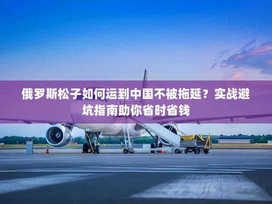 俄罗斯松子如何运到中国不被拖延?实战避坑指南助你省时省钱 俄罗斯松子如何运到中国不被拖延?实战避坑指南助你省时省钱