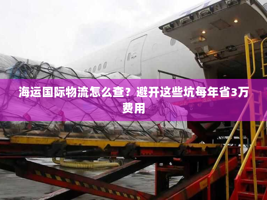 海运国际物流怎么查?避开这些坑每年省3万费用 海运国际物流怎么查?避开这些坑每年省3万费用