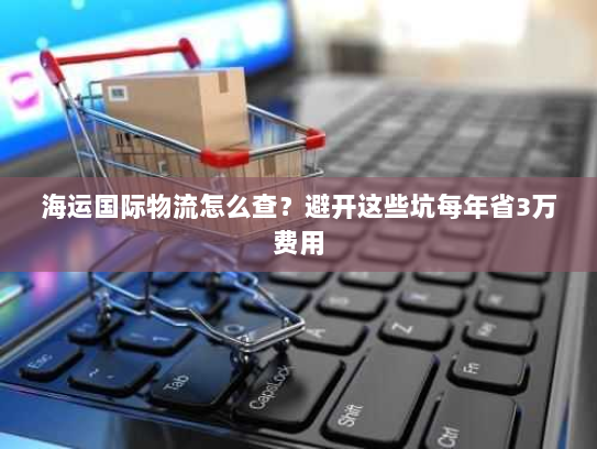 海运国际物流怎么查?避开这些坑每年省3万费用 海运国际物流怎么查?避开这些坑每年省3万费用