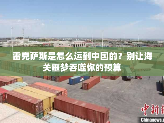 雷克萨斯是怎么运到中国的？别让海关噩梦吞噬你的预算