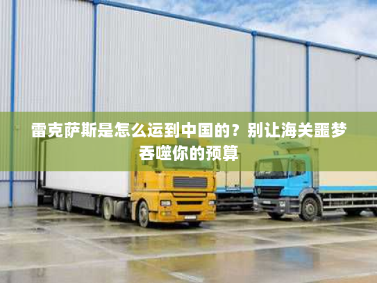 雷克萨斯是怎么运到中国的？别让海关噩梦吞噬你的预算