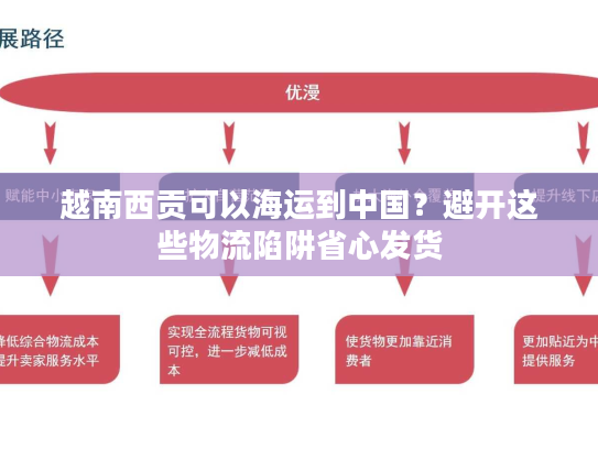 越南西贡可以海运到中国？避开这些物流陷阱省心发货
