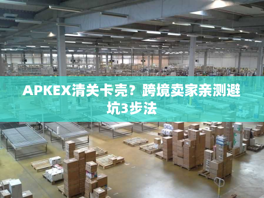 APKEX清关卡壳？跨境卖家亲测避坑3步法