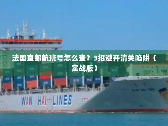 法国直邮航班号怎么查?3招避开清关陷阱(实战版) 法国直邮航班号怎么查?3招避开清关陷阱(实战版)