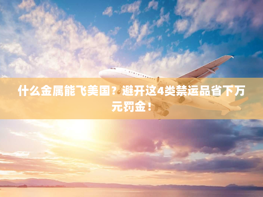 什么金属能飞美国?避开这4类禁运品省下万元罚金! 什么金属能飞美国?避开这4类禁运品省下万元罚金!