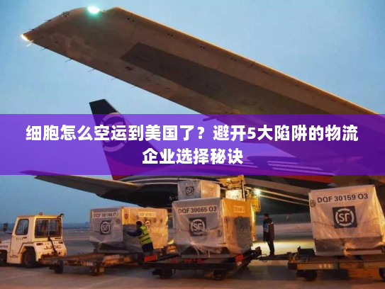 细胞怎么空运到美国了?避开5大陷阱的物流企业选择秘诀 细胞怎么空运到美国了?避开5大陷阱的物流企业选择秘诀
