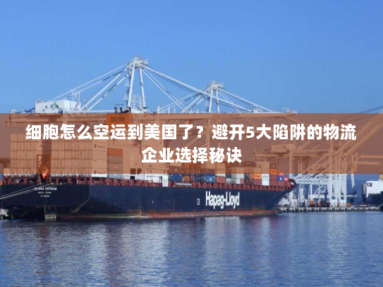细胞怎么空运到美国了?避开5大陷阱的物流企业选择秘诀 细胞怎么空运到美国了?避开5大陷阱的物流企业选择秘诀