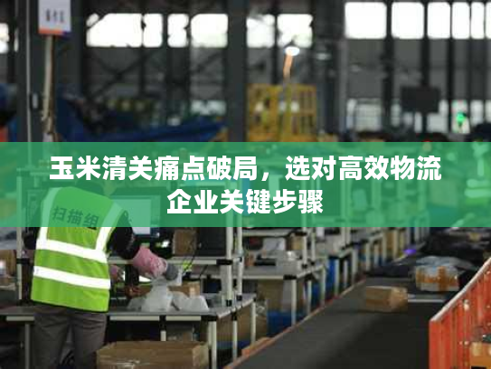 玉米清关痛点破局,选对高效物流企业关键步骤 玉米清关痛点破局,选对高效物流企业关键步骤