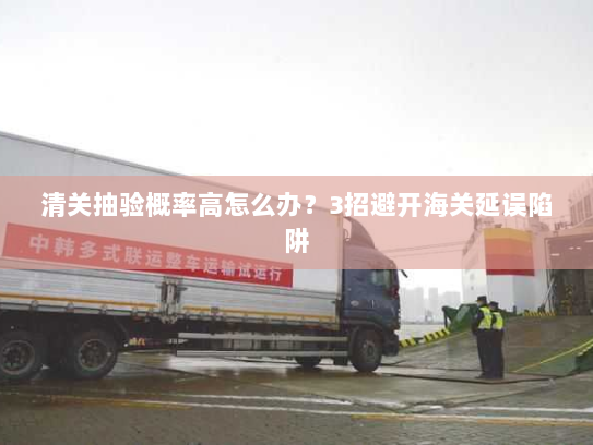 清关抽验概率高怎么办？3招避开海关延误陷阱