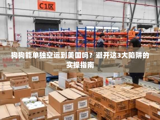 狗狗能单独空运到美国吗?避开这3大陷阱的实操指南 狗狗能单独空运到美国吗?避开这3大陷阱的实操指南