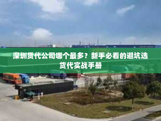 深圳货代公司哪个最多?新手必看的避坑选货代实战手册 深圳货代公司哪个最多?新手必看的避坑选货代实战手册