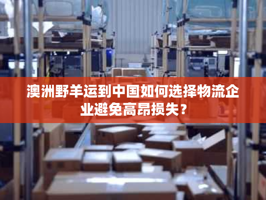 澳洲野羊运到中国如何选择物流企业避免高昂损失? 澳洲野羊运到中国如何选择物流企业避免高昂损失?
