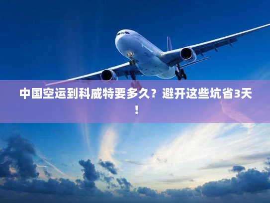 中国空运到科威特要多久？避开这些坑省3天！