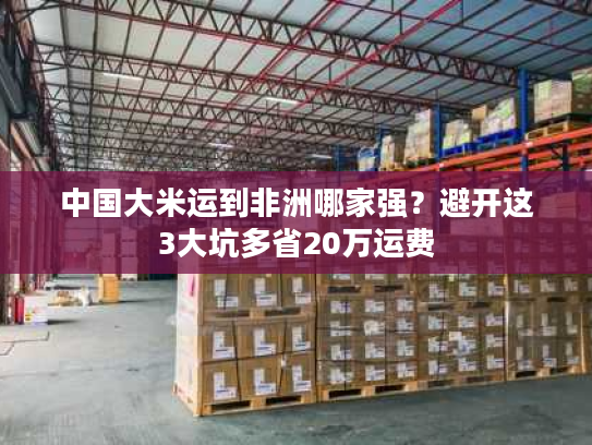 中国大米运到非洲哪家强？避开这3大坑多省20万运费