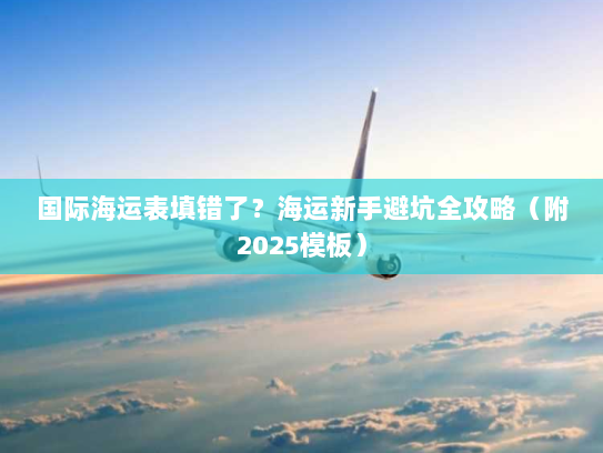 国际海运表填错了？海运新手避坑全攻略（附2025模板）