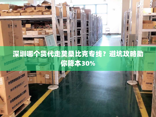 深圳哪个货代走莫桑比克专线?避坑攻略助你降本30% 深圳哪个货代走莫桑比克专线?避坑攻略助你降本30%